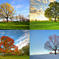 Canadian seasons
