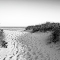 Hampton Beach